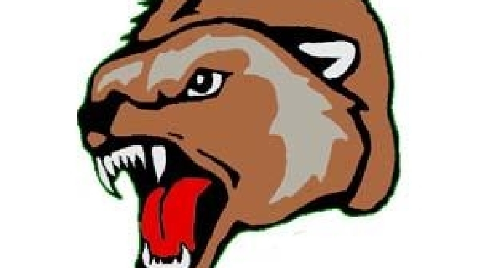 PSJA%20Memorial%20Wolverines.jpg