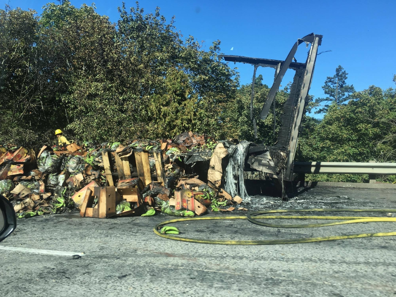 Semi truck carrying bananas crashes on Interstate 5 KATU