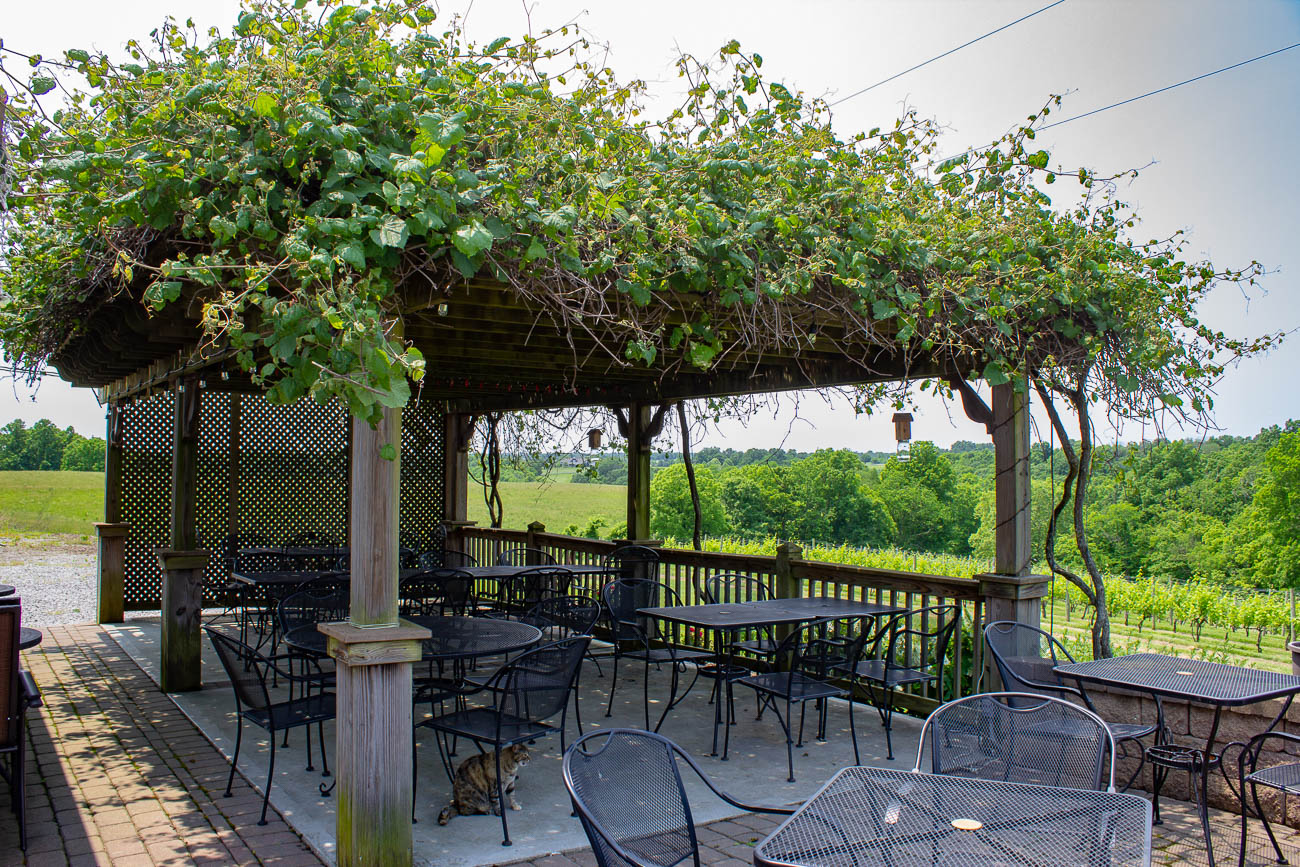 Explore NKY's Wine Heritage With a Curated Tour of These 8 Wineries