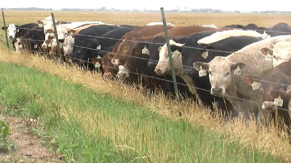 State leaders to promote Nebraska agriculture in Israel KHGI