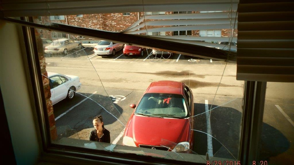 Man accused of throwing dog out of secondstory window faces judge