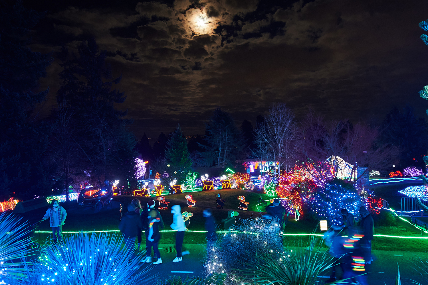 Photos A Walking Tour of ZooLights at Point Defiance Zoo & Aquarium