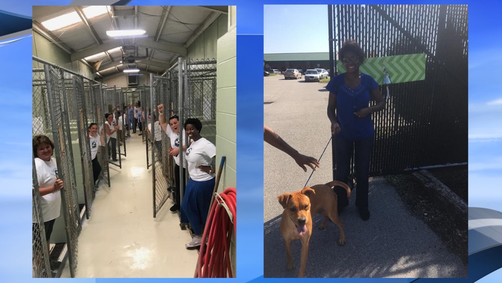 Shelter empty after day one of adoption event, more animals coming for