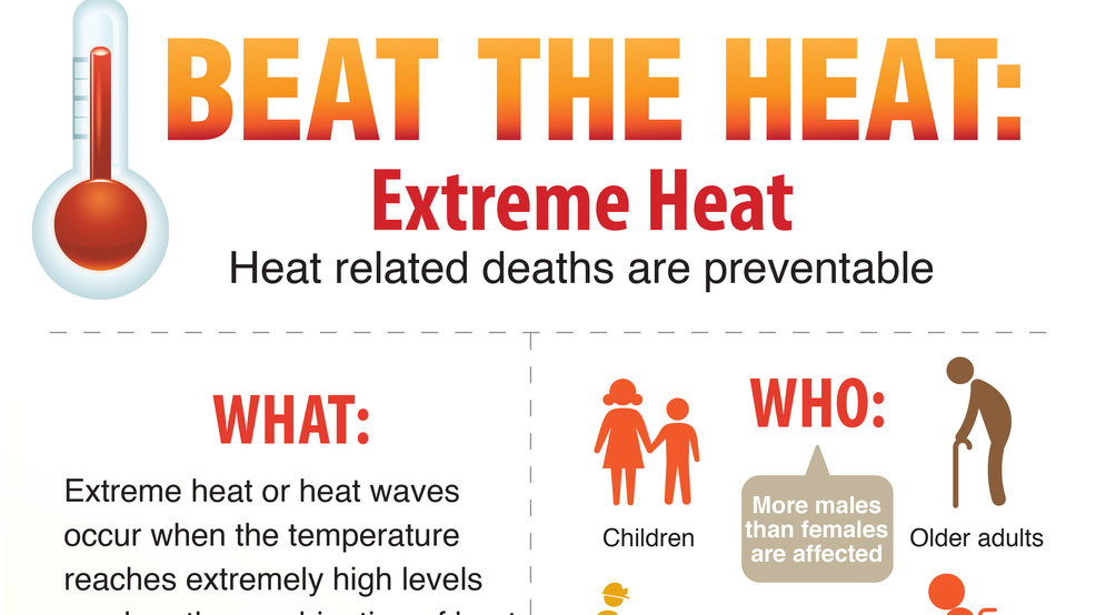 'Heatrelated deaths and illnesses are preventable' How to keep