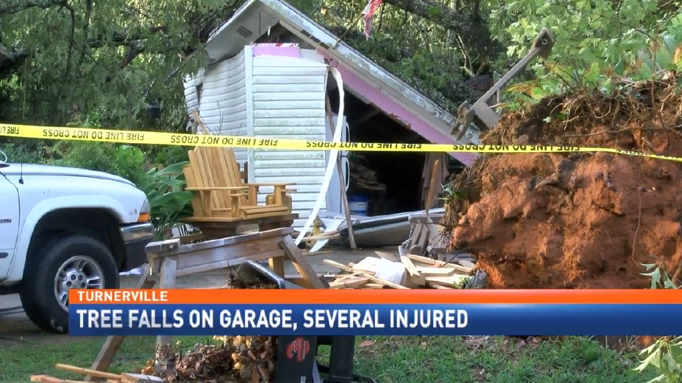Multiple injured after tree falls on garage WPMI