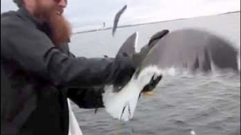 130813_bird_catch.jpg
