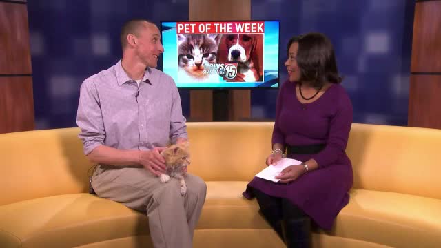 Pet of the Week: Abby