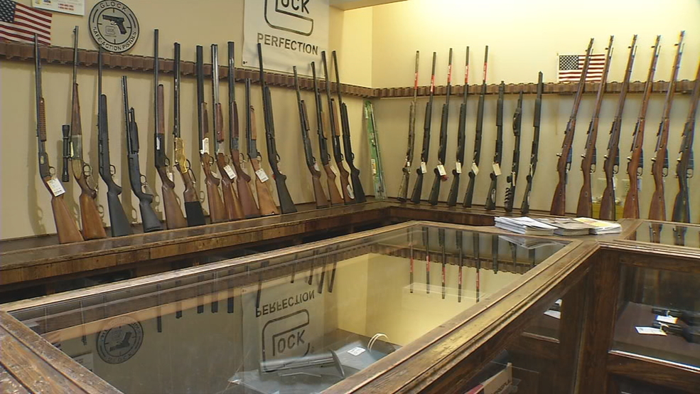 NM Gov. announces proposal to protect public from gun owners who pose