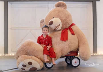 93 inches teddy bear