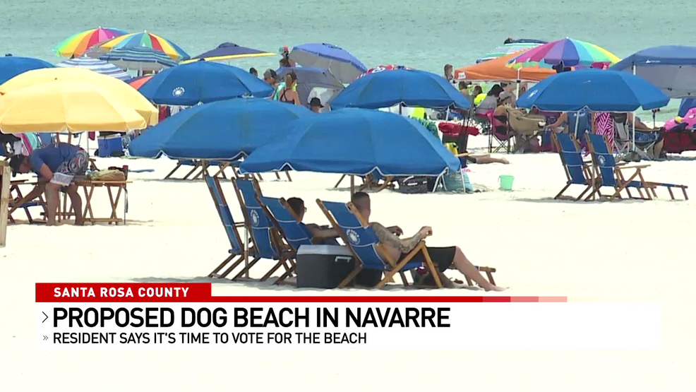 Dog beach proposed in Navarre | WEAR