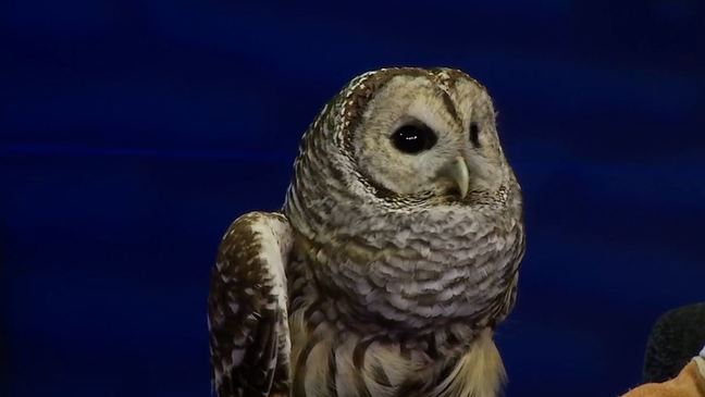 Center for Wildlife: Byron is Back! 