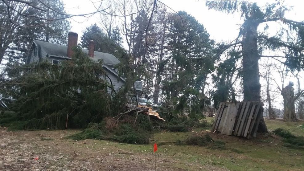 2-8-19 Irondequoit tree down.jpg 2-8-19 Irondequoit tree down.jpg