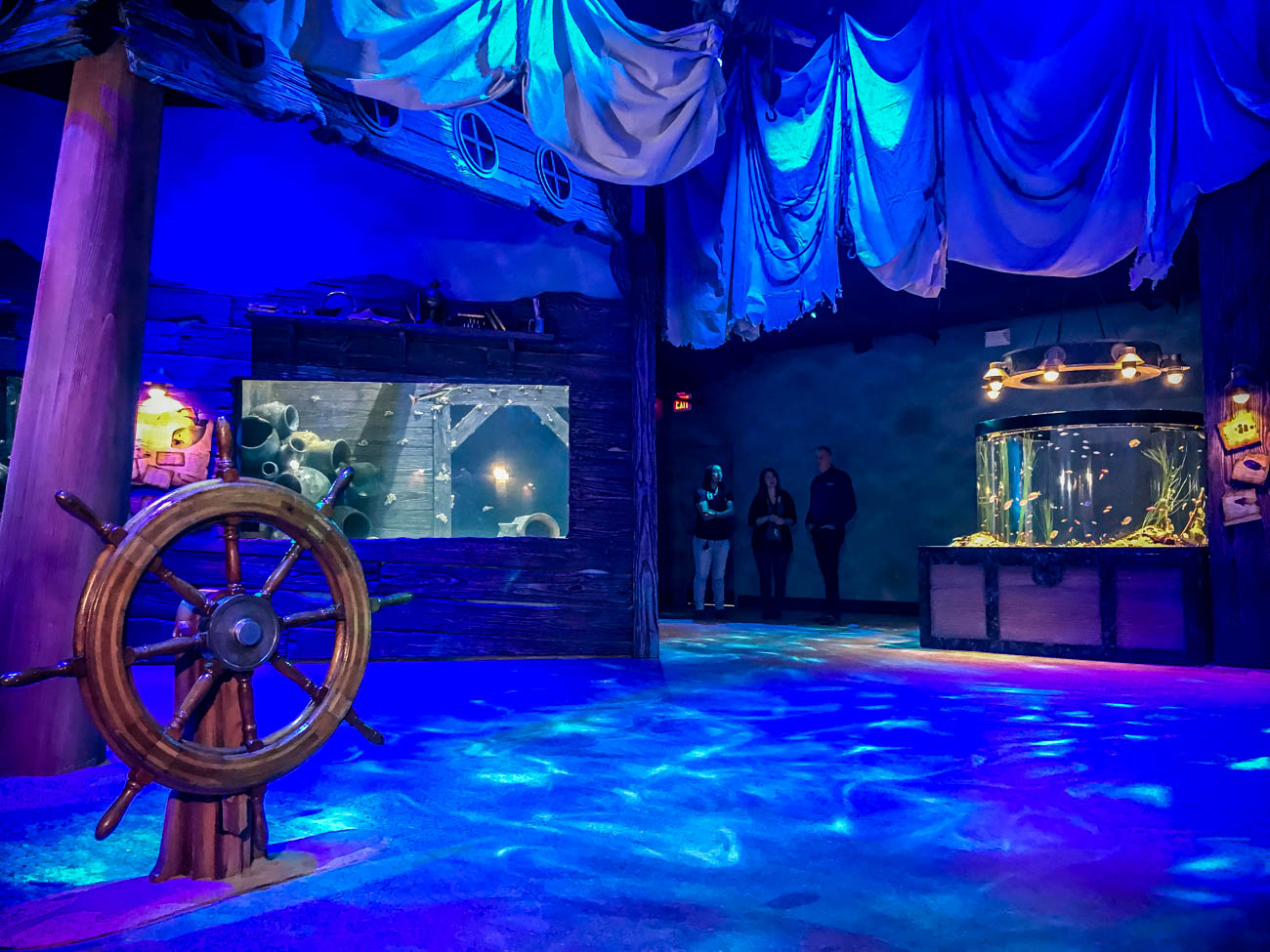 Eels, Exotic Fish, and Lost Treasure Are All on Display at 'Shipwreck