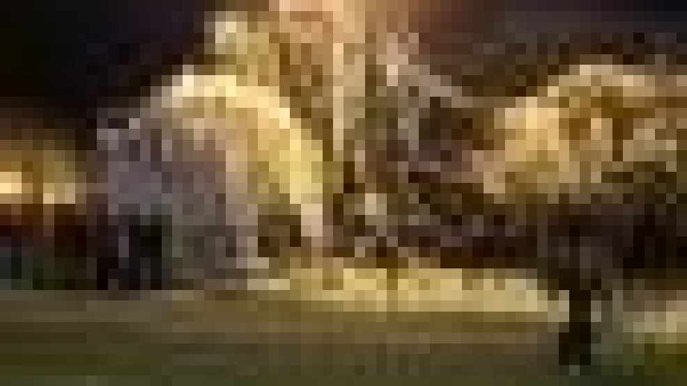 24104327_BG1.jpg