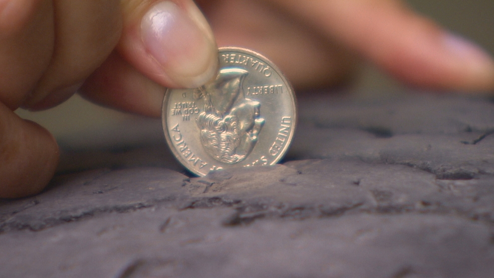 ditch-the-penny-and-use-a-quarter-aaa-urges-stricter-tire-wear-guidelines-komo