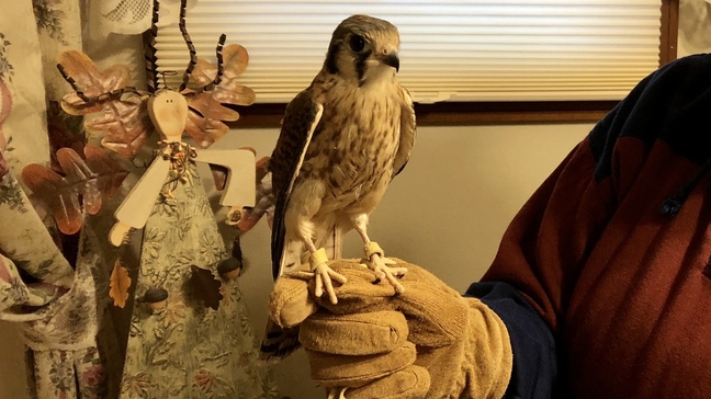 new mexico police investigate killing of 4 on christmas day | wl