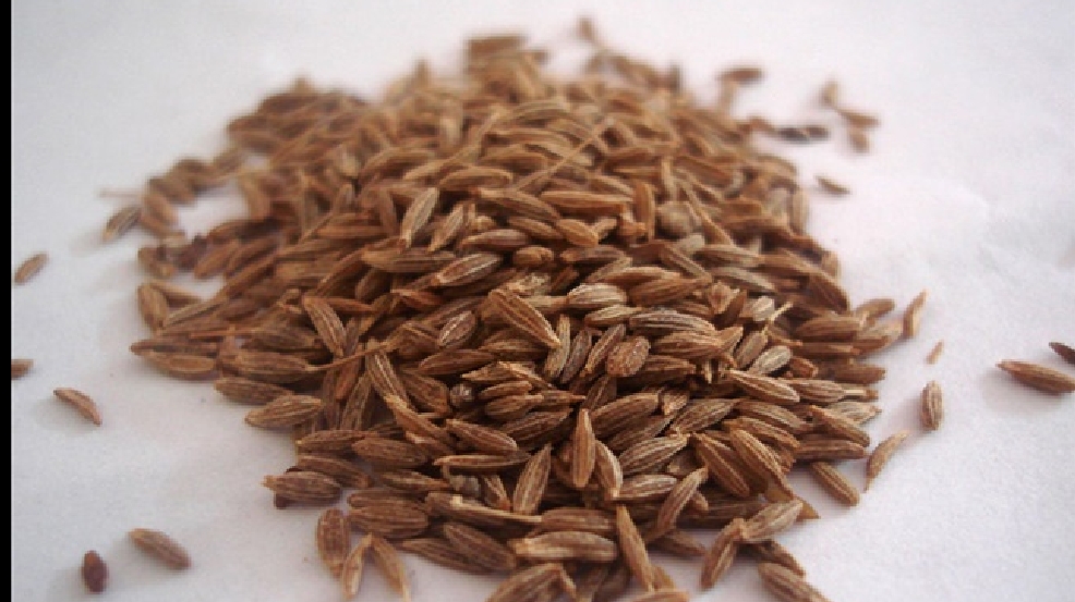 Students In Massachusetts Hospitalized For Chewing Garden Seeds WZTV Students In Massachusetts Hospitalized For Chewing Garden Seeds WZTV